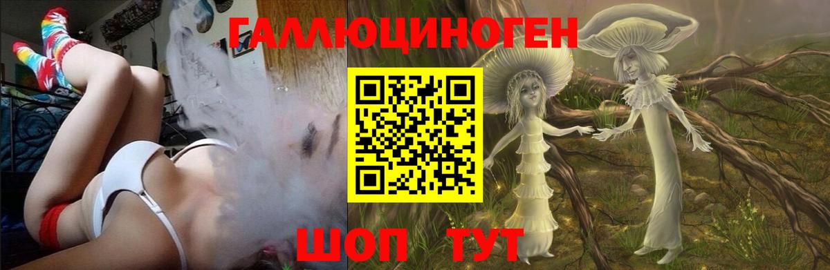 Гусь-Хрустальный  Псилоцибиновые грибы прущие грибы  Вход с VPN 